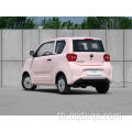 รถโดยสาร Yuanbao Mini EV